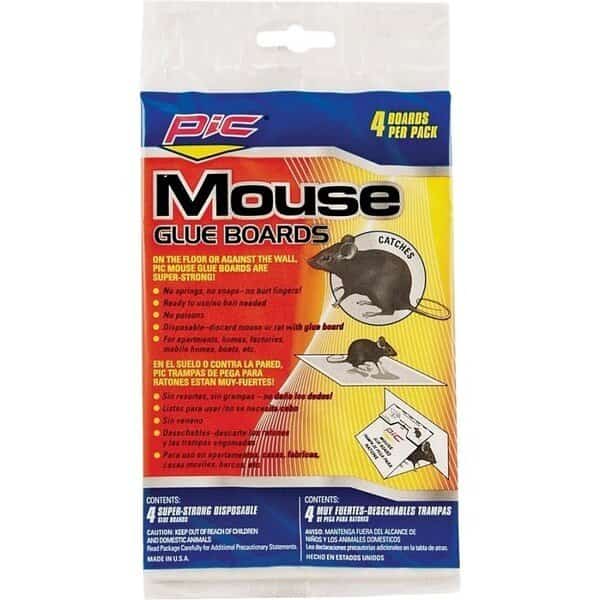 Glue Trap
