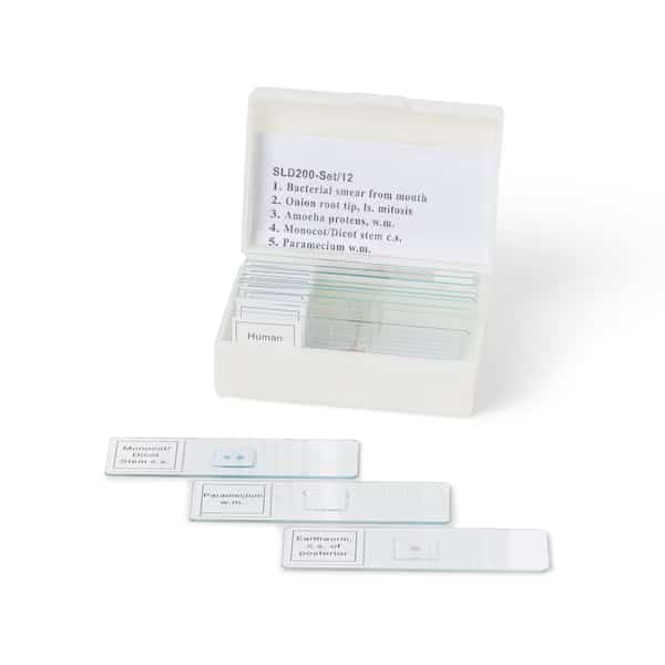 Biology Prepared Slide Set, 12 Slides
