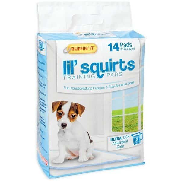 Lil' Squirts Dog Training Pad, 22 in L, 21 in W, CottonPlastic