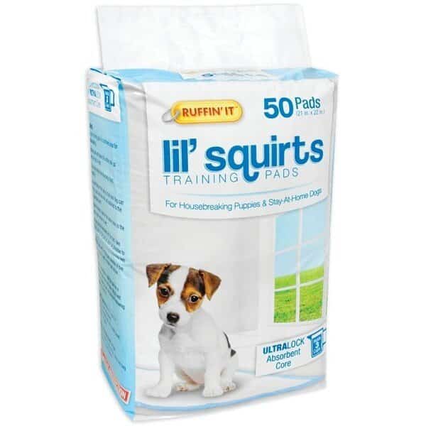 Lil' Squirts Dog Training Pad, 22 in L, 21 in W, CottonPlastic