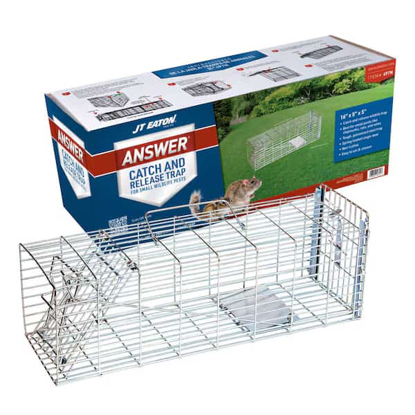 Live Animal Trap, 16 In. L, 5 In. W