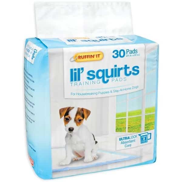 Lil' Squirts Dog Training Pad, 22 in L, 21 in W, CottonPlastic
