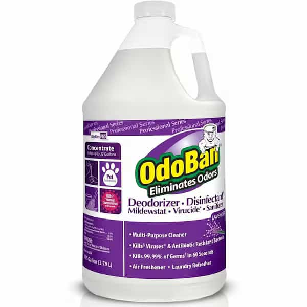 Odor Eliminator and Disinfectant: Jug, 1 gal, Liquid, Concentrated, Lavendar Fragrance, PK4