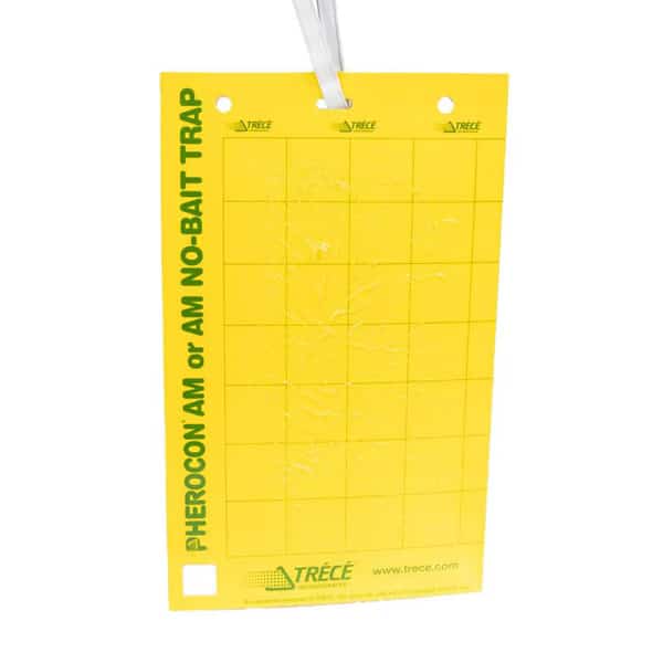Pherocon Unbaited AM Yellow Sticky Traps, Trece, Mfr#: 3306-00 GE