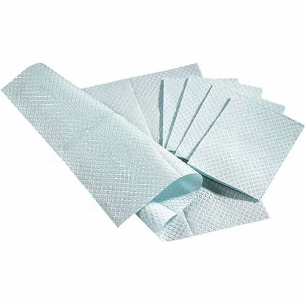 Paper Towels, 2 Ply, Blue