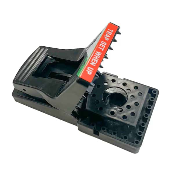 Jawz Rat/Chipmunk Trap, PK6
