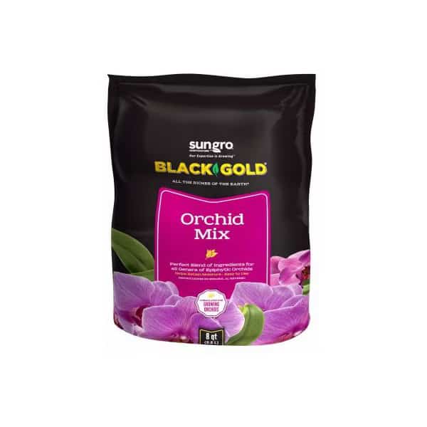 8QT Orchid Mix