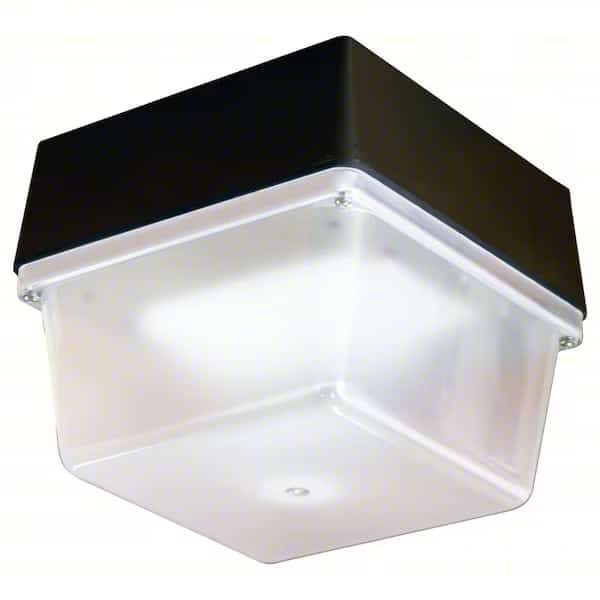 Indoor/Outdoor LED Luminaire, 5000K