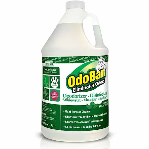 Eucalyptus Multi-purpose Deodorizer Disinfectant Concentrate, 128 fl oz (4 quart) Eucalyptus, Green