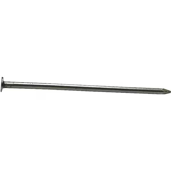 Common Nail, 2 in L, 6D, Hot Dipped Galvanized Finish
