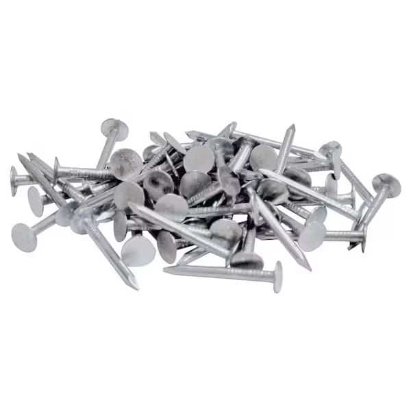 Roofing Nail, 7/8 in L, Steel, Electro Galvanized Finish, 11 ga