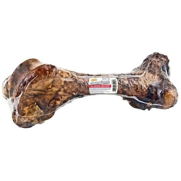 Dog Bone
