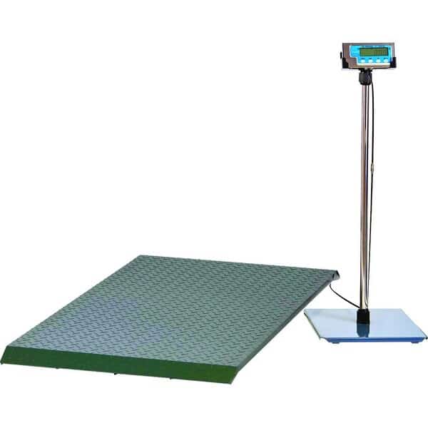 PS2000 Floor Scale System