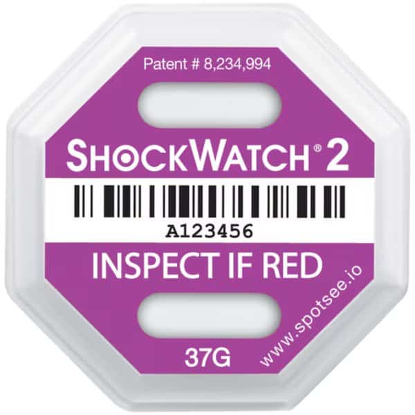 37G 2 Indicators, 3 3/4" x 3 3/4", Purple, PK 50