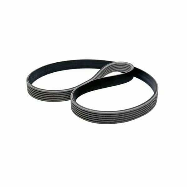 Belt, Poly L, 145.5in PL, 16 Rib