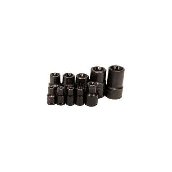 Socket, 1/4" Drive, E7 External Torx