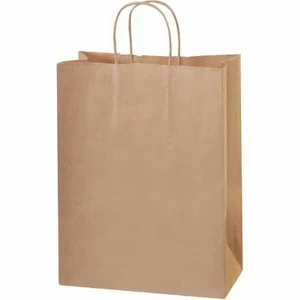10 x 5 x 13'' Kraft Paper Shopping Bags, 250PK