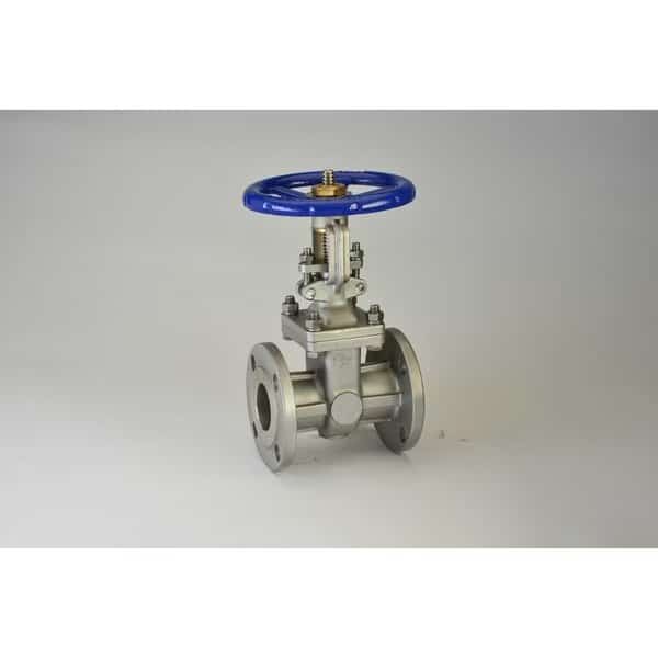10", Stainless Steel Class 150 Flanged Gate Valve