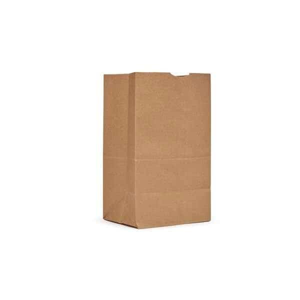 AJM 20# Kraft Squat Bag, PK500