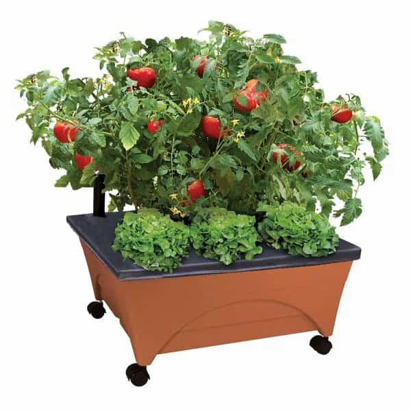 Raised Bed Grow Box, Self Watering and Improved Aeration, Mobile Unit with Casters