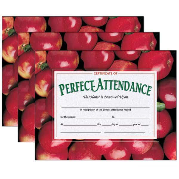 Certificate of Perfect Attendance, 30 Per Pack, PK3, Recommended Grade: K-12