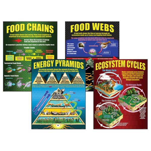 Ecosystems Teaching Posters Set