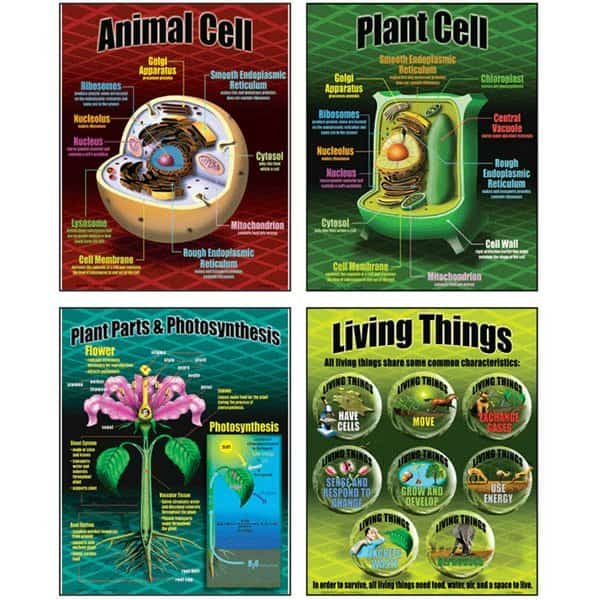 Life Science Teaching Posters Set, Mcdonald, Mfr#: P077