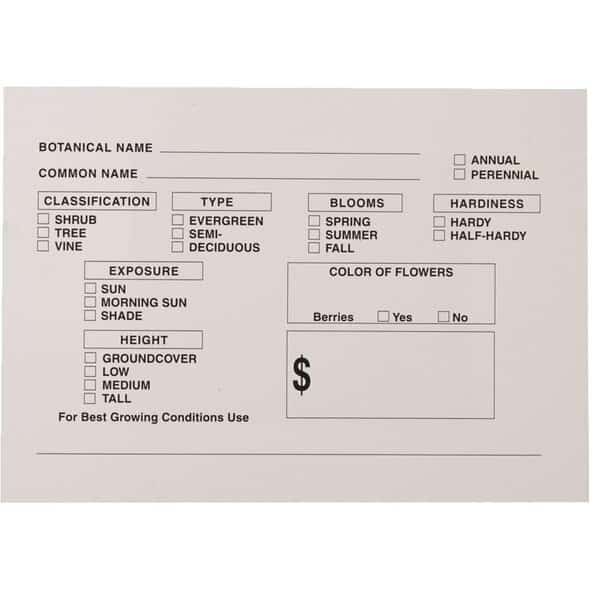 Plant Information Sign Cards, PK25