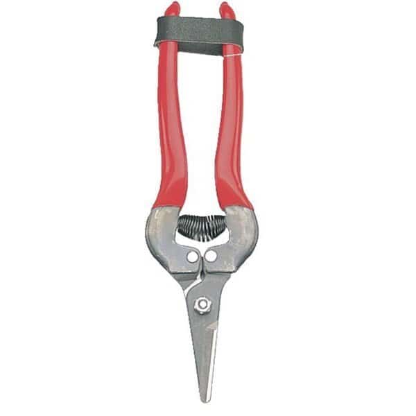 GrowTech Short-Blade Fruit Pruner