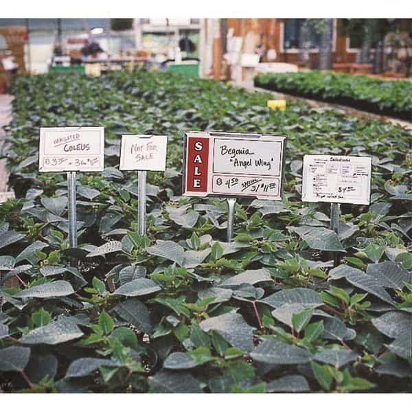 Vinyl Sign Cards, PK25