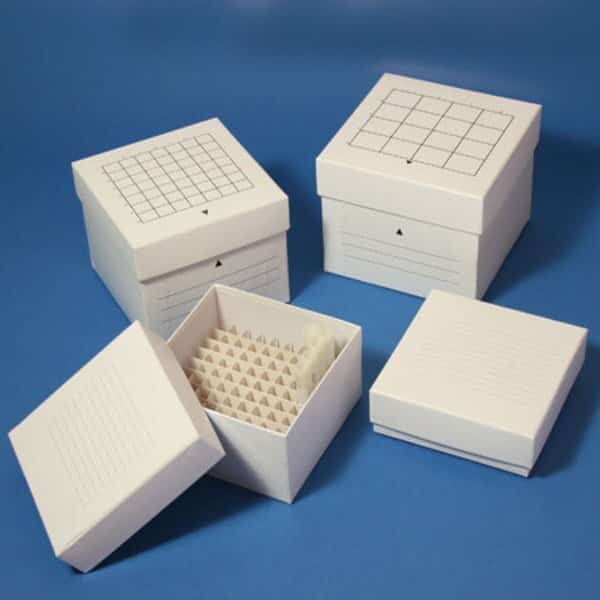 Freeze Box, 64 Place, Cardboard