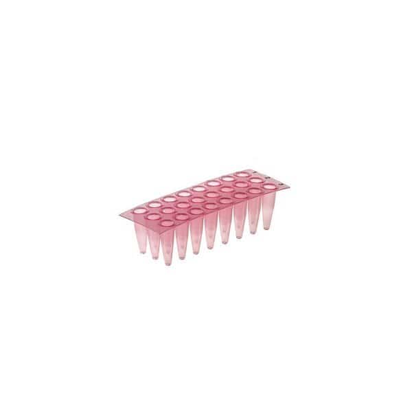 Simport Amplate 24-Well Thin Wall, PK 50