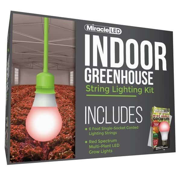 Wide Angle Single-Socket Corded LED Grow