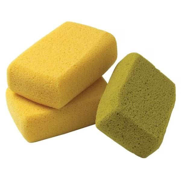 Sponges