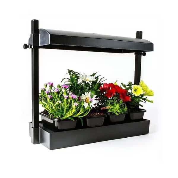 Micro Grow Light Garden, Black