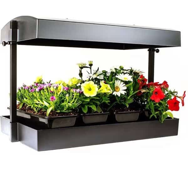 Grow Light Garden