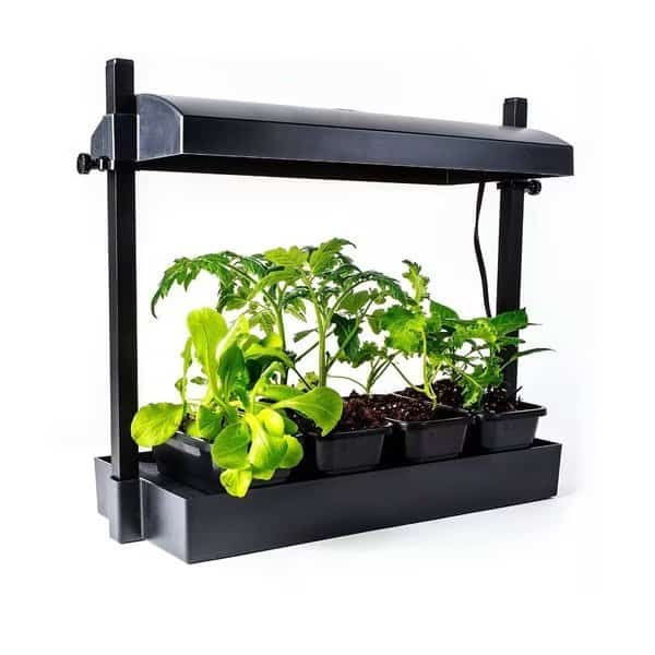 LED Growlight Garden, Black