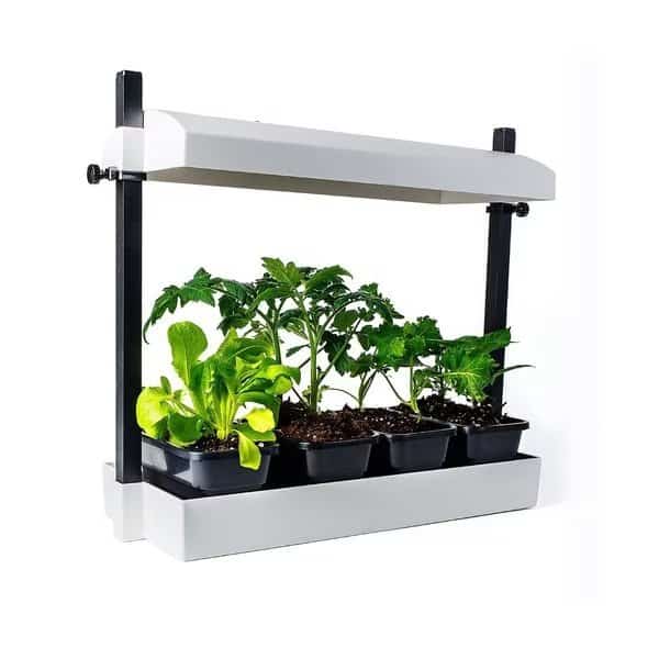LED Growlight Garden, White