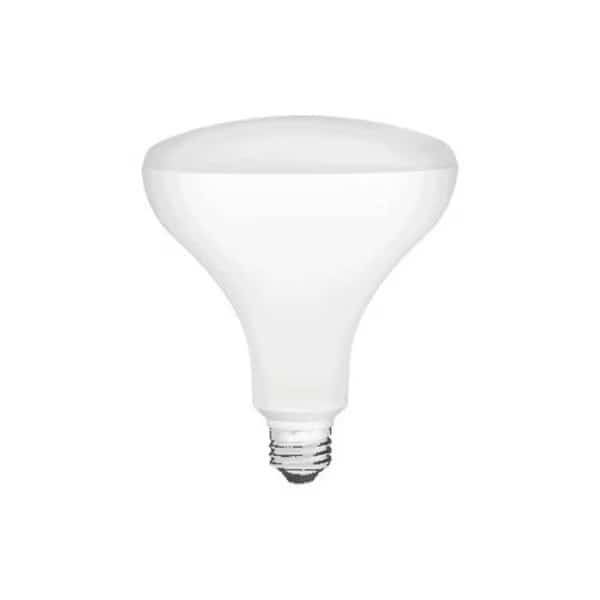 Elite LED, 17W BR40, DIM, 2700K, Flood