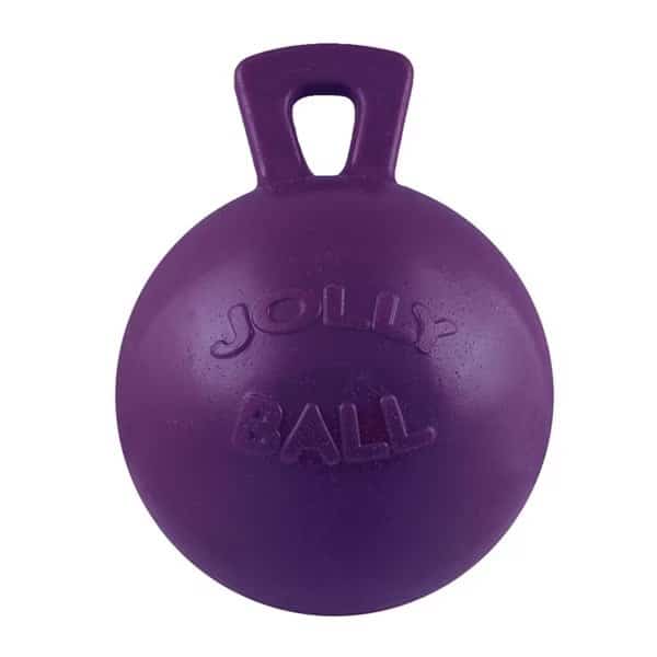 Jolly Ball with Handle 10" PURPLE