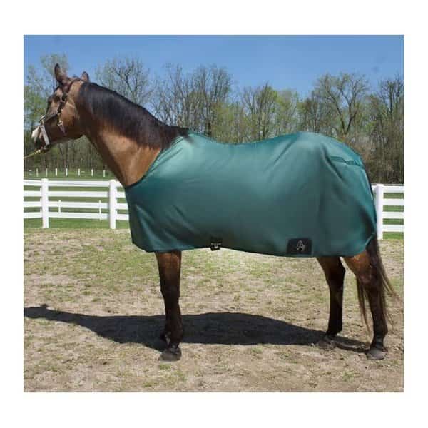 Nylon Stable Sheet Closed Front BLACK 80"