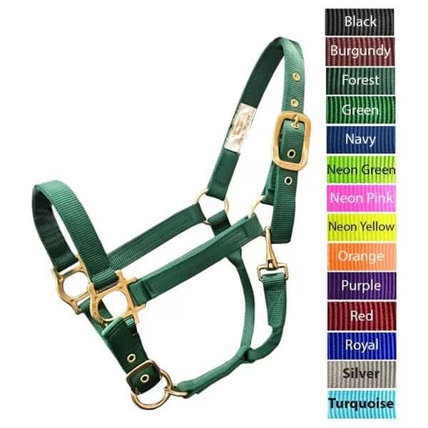 Valhoma BACS Halter ROYAL 500-800 LB, Valhoma, Mfr#: 3360-RY-S