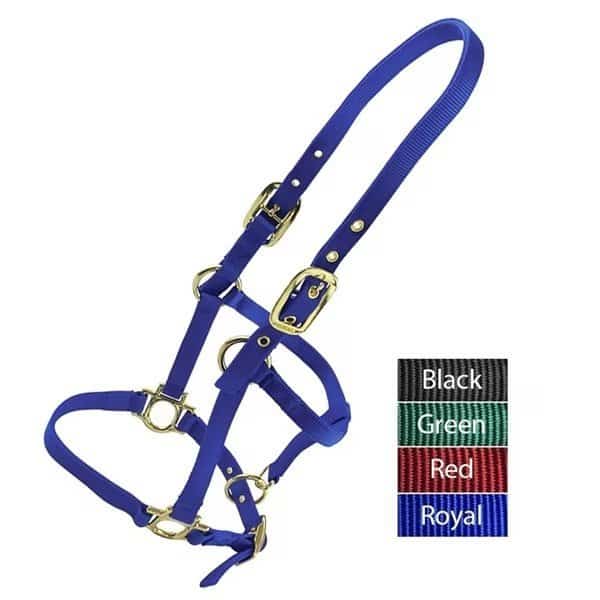 Valhoma Weanling Halter ROYAL