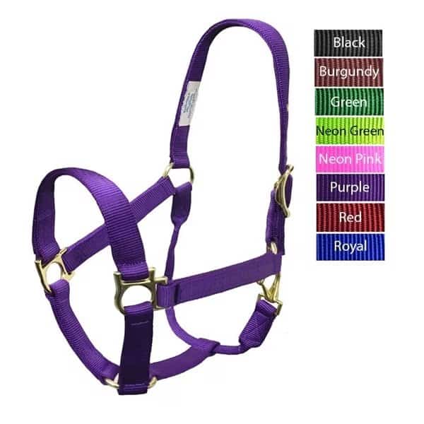 Valhoma QS Halter PURPLE 800-1100LB