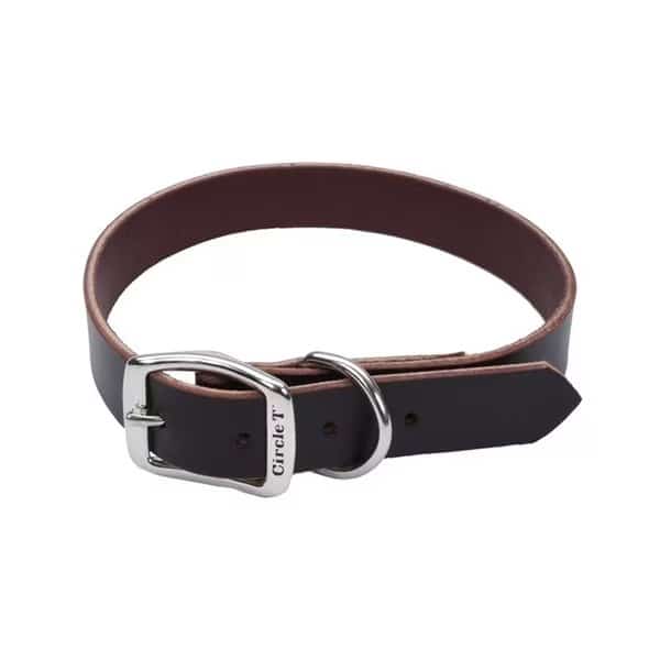 Circle T Latigo Leather Town Dog Collar Flat 5/8" 14"