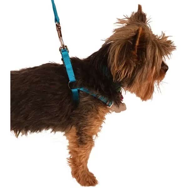 Valhoma Adjustable Harness BLACK M 20"-30"