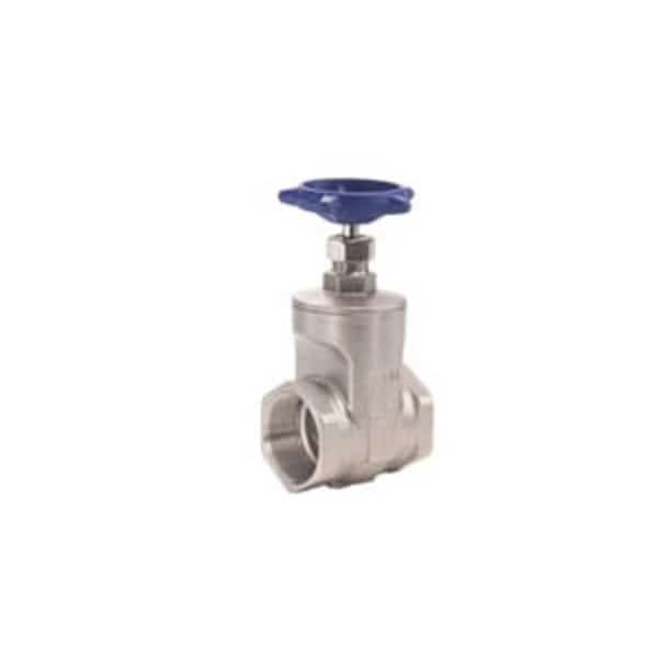 3/4" T-751 S.S. GATE VALVE