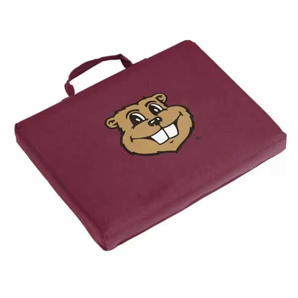 Minnesota Goldy Face Bleacher Cushion