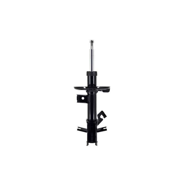 Suspension Strut Assembly, 331648R