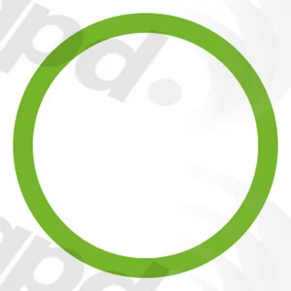 O-Rings/Gaskets, 1311289